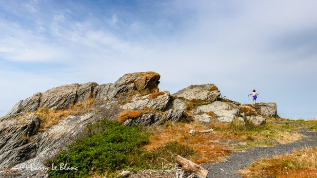 Fourche à Louison