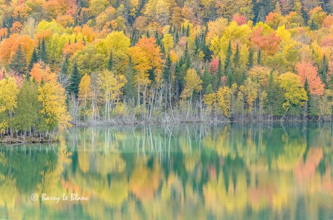 Lac Gallagher