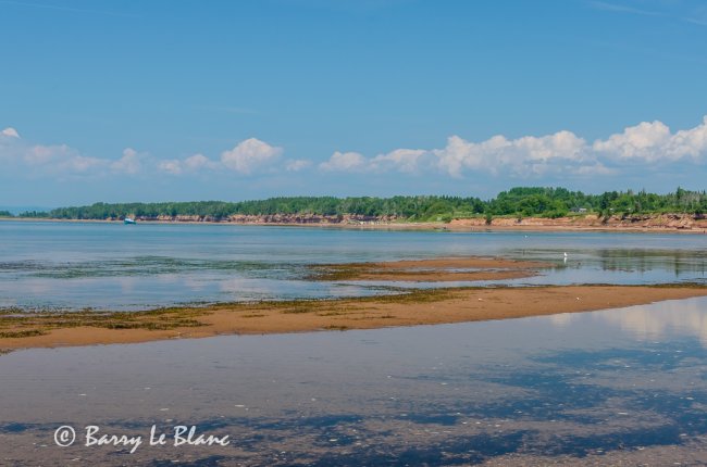 Île aux Hérons