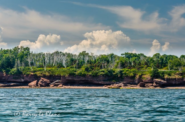 Île-aux-Hérons