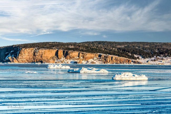 Île Bonaventure