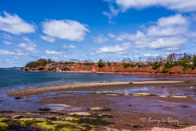 Anse-aux-Corbeaux, Miguasha