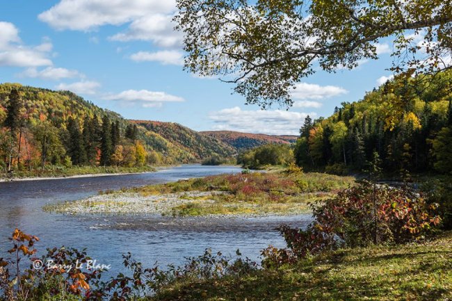 Rivière Matapédia 