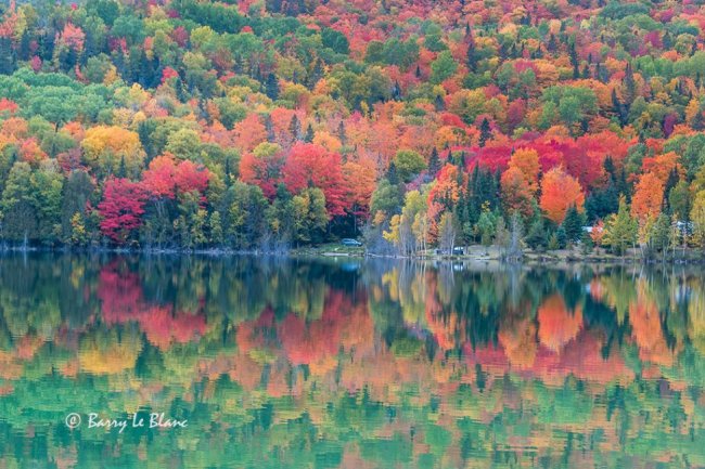 Lac Gallagher