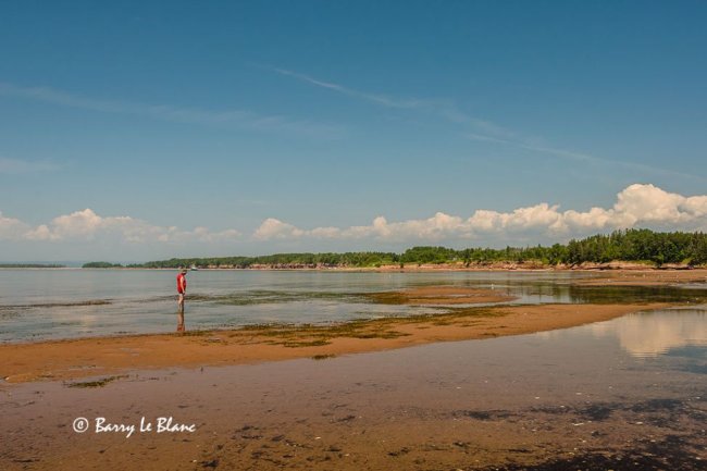 Île aux Hérons 