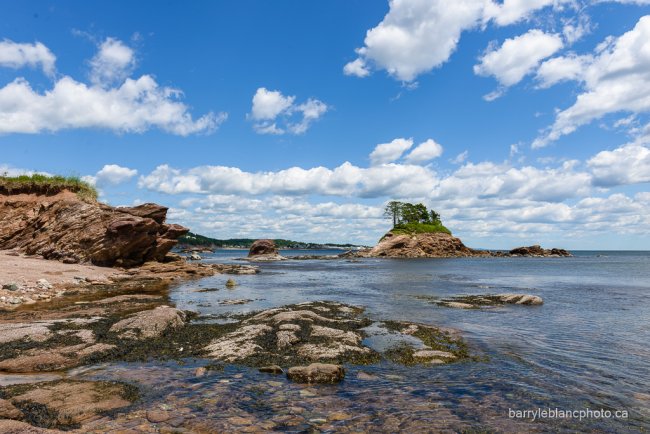 Anse-à-Blondel, Newport