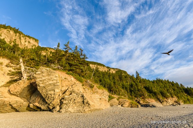 Grève Cap Bon Ami, Parc Forillon