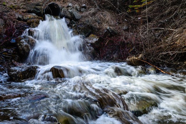 Dimock Creek, Cascapédia-St-Jules