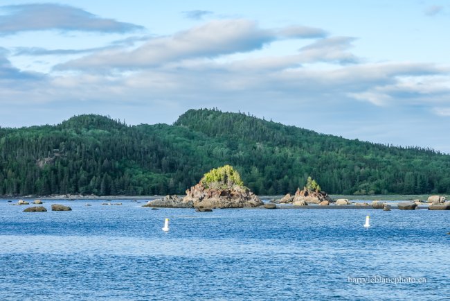 Baie des Cochons