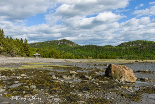 Pointe aux Épinettes