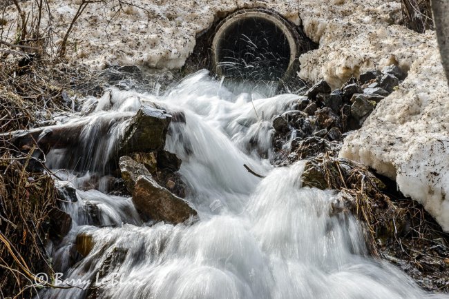 Dimock Creek, Cascapédia-St-Jules