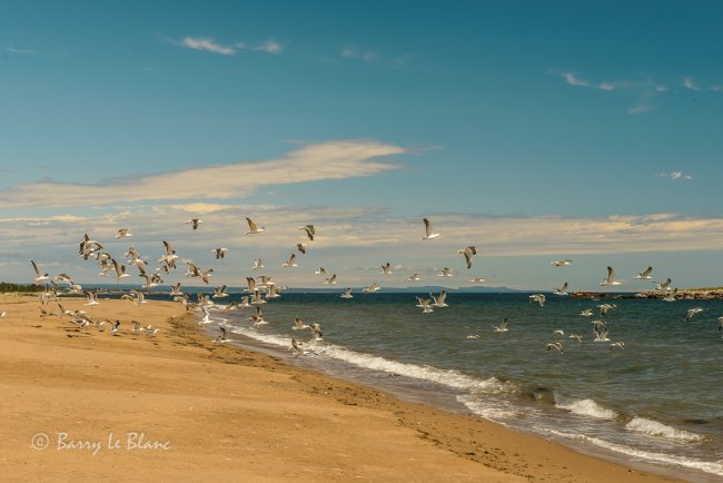 Plages des Îlots Beaux Sables, Newport