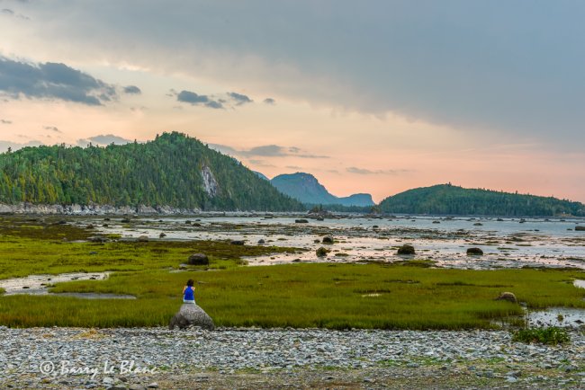 Pointe aux Épinettes