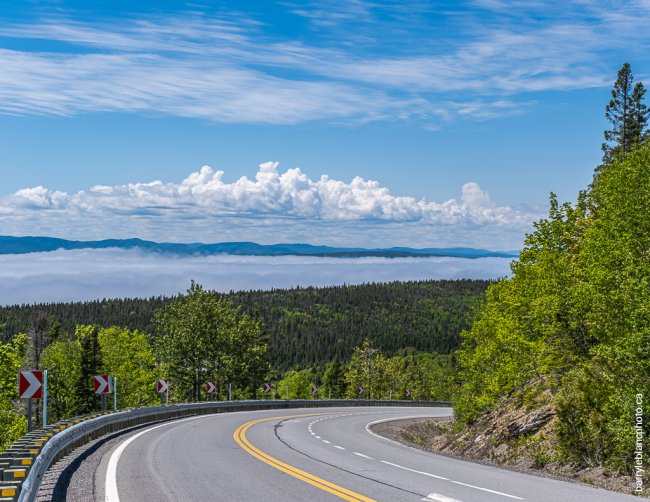 Baie de Gaspé, Forillon